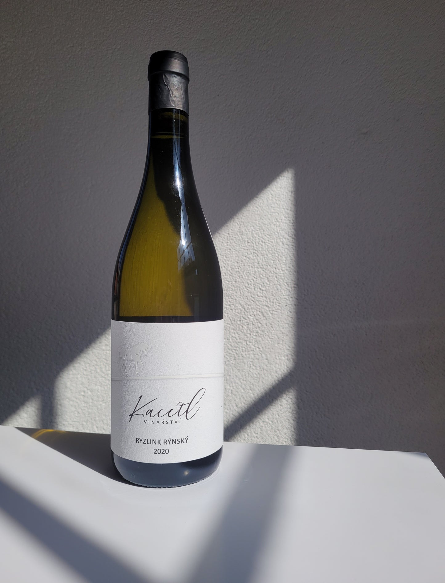 Riesling 2021 | Michal Kacetl