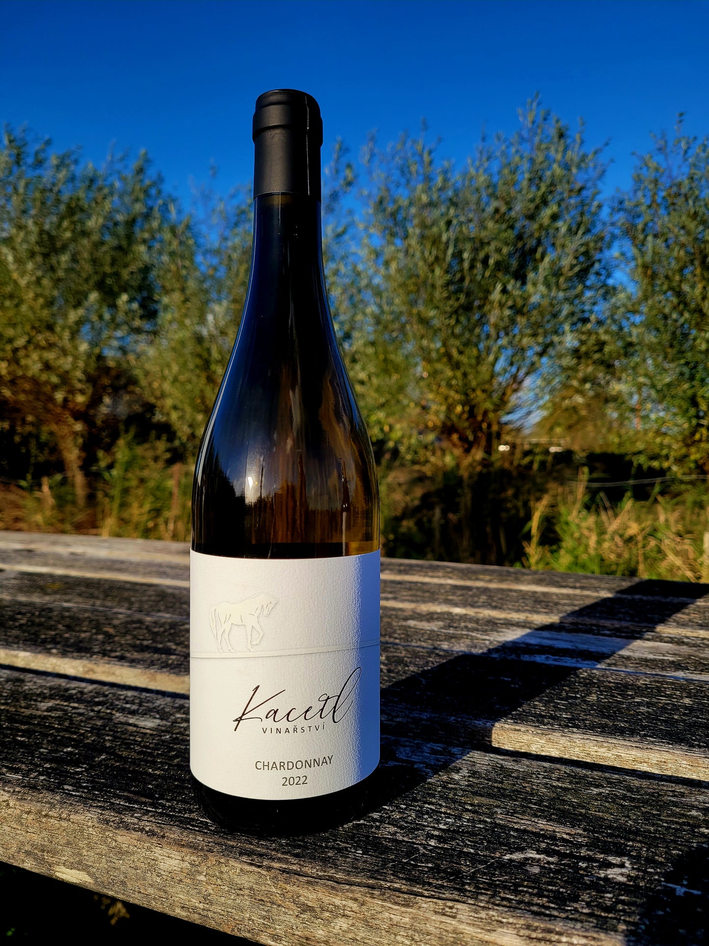 Chardonnay 2022 | Michal Kacetl