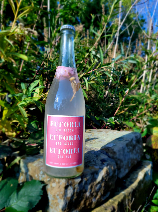 EUFORIA Birch Sap - Rose